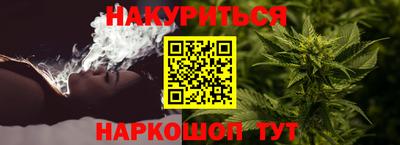 индика Славгород