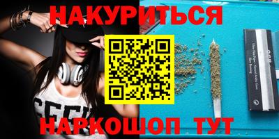 индика Славгород