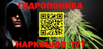 индика Славгород