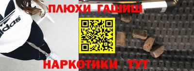 индика Славгород