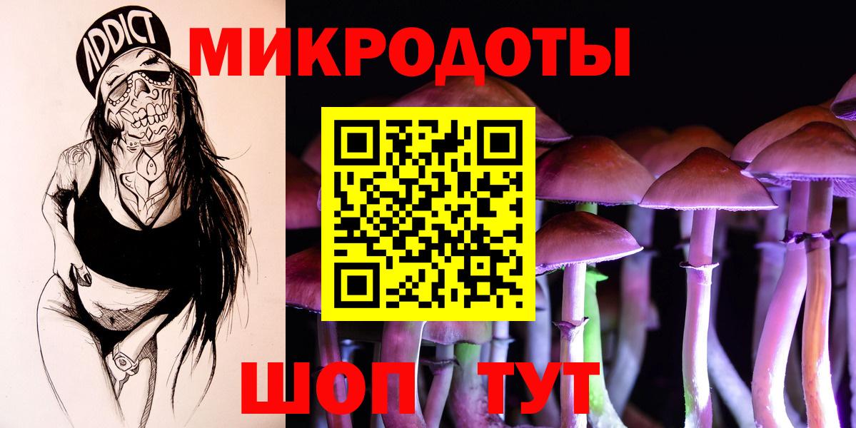 Галлюциногенные грибы Psilocybe Моздок